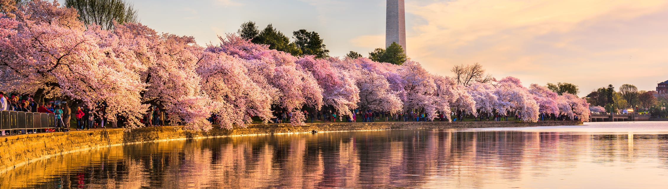 Washington, DC banner