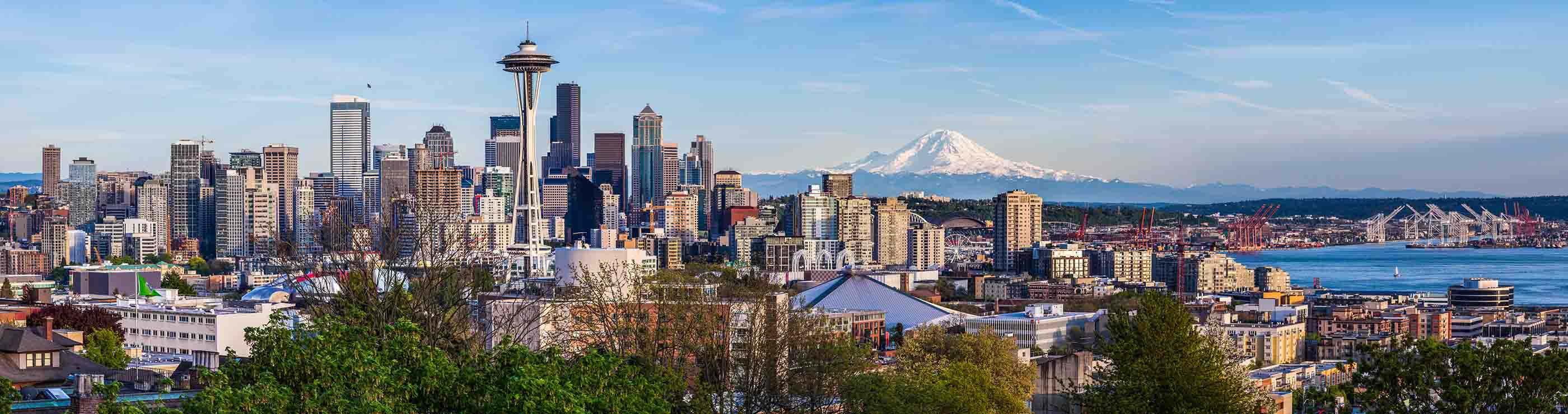 Optum Seattle Washington banner