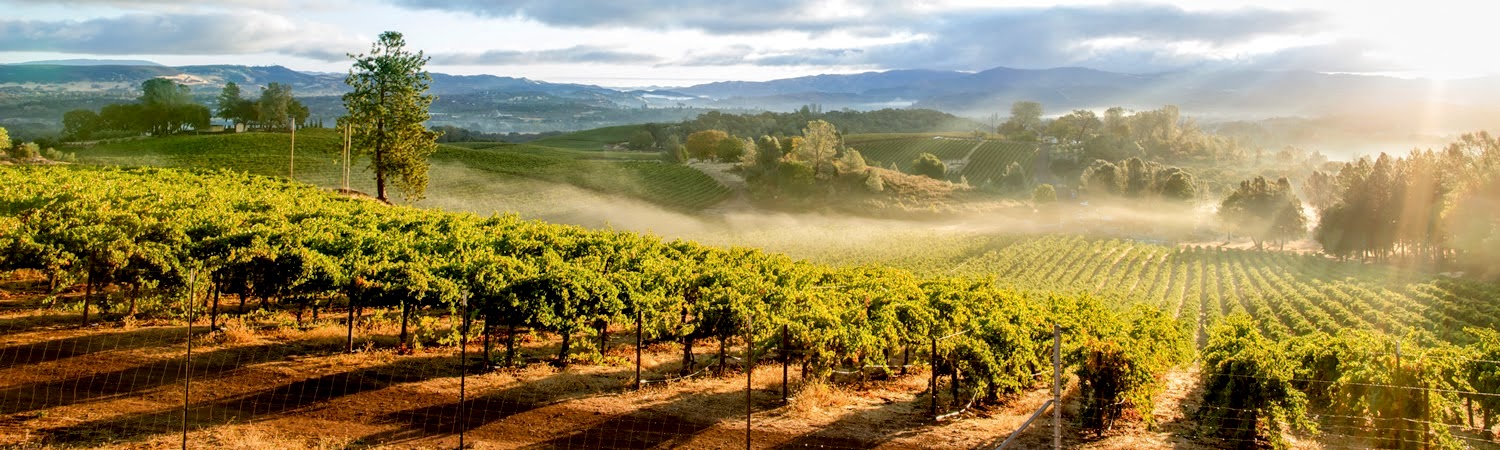Providence - Napa, CA banner