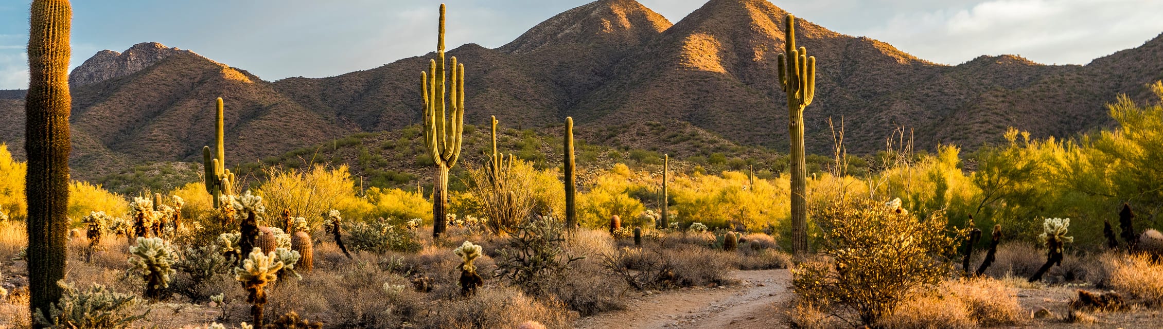 Buckeye, AZ banner