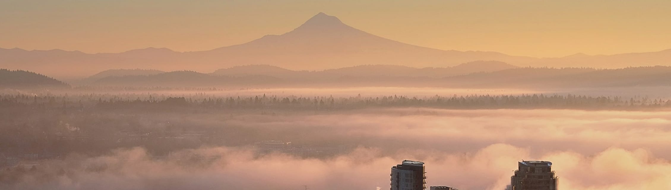 PeaceHealth Southwest Medical Center - Vancouver banner