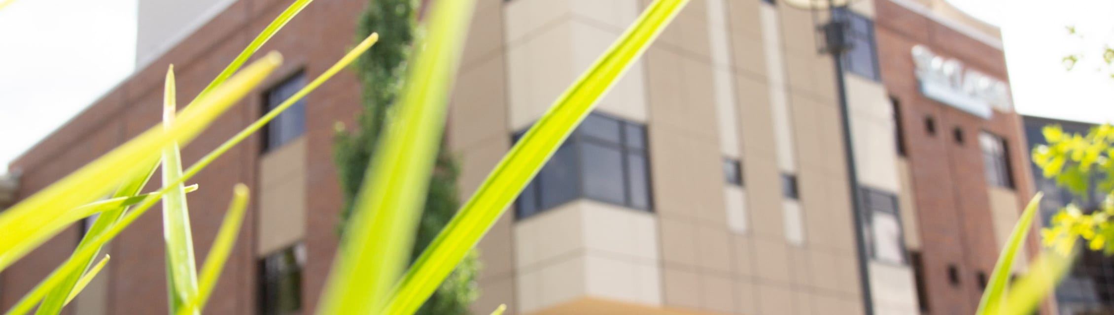 Sky Lakes Medical Center banner