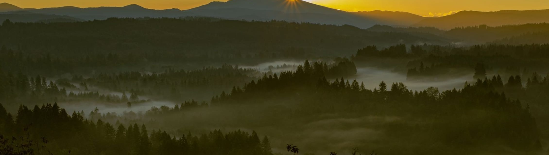 Salem Health Sleep Center banner