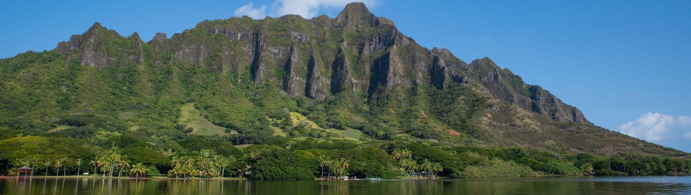 The Queen's Medical Center - Kahi Mohala banner