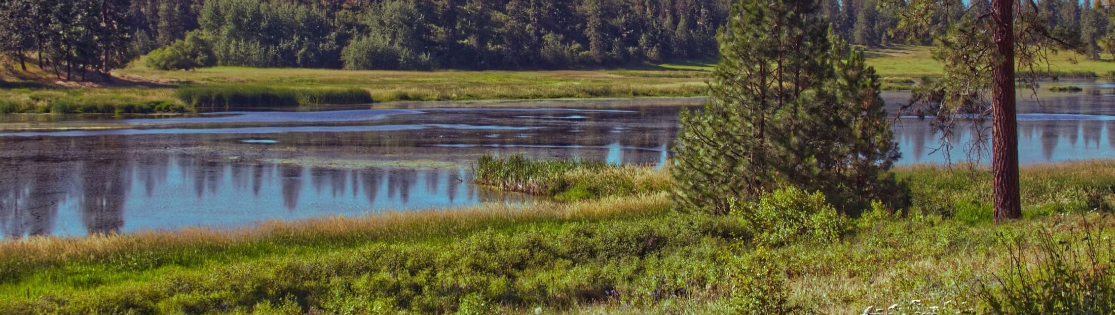 Lake Spokane Medical banner