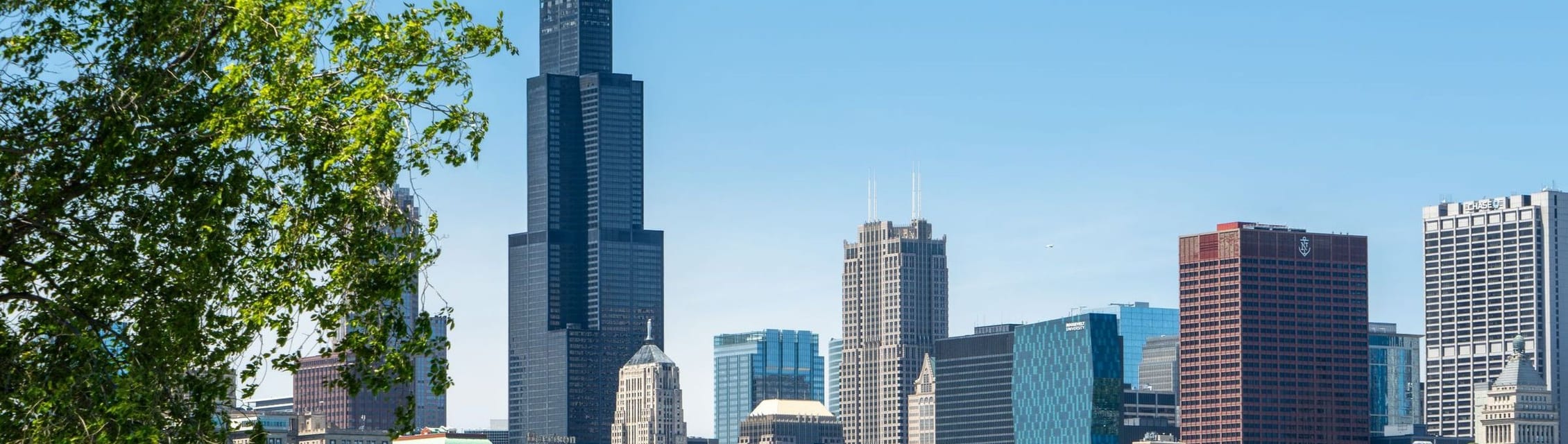 Skin Clique - Chicago, IL banner