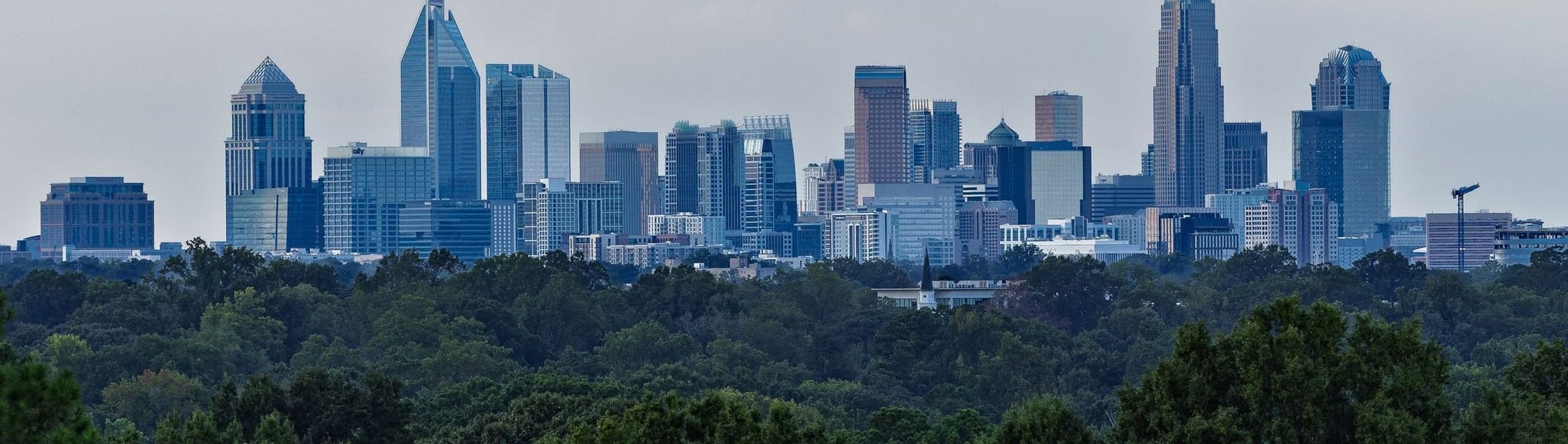 Skin Clique - Charlotte, NC banner