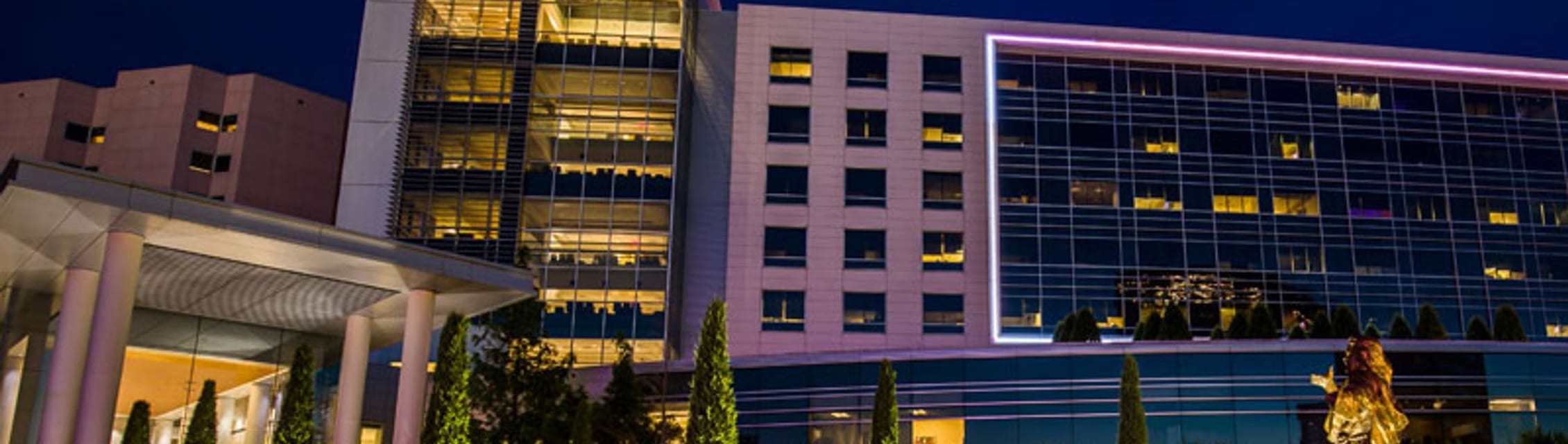 Saint Francis Health System