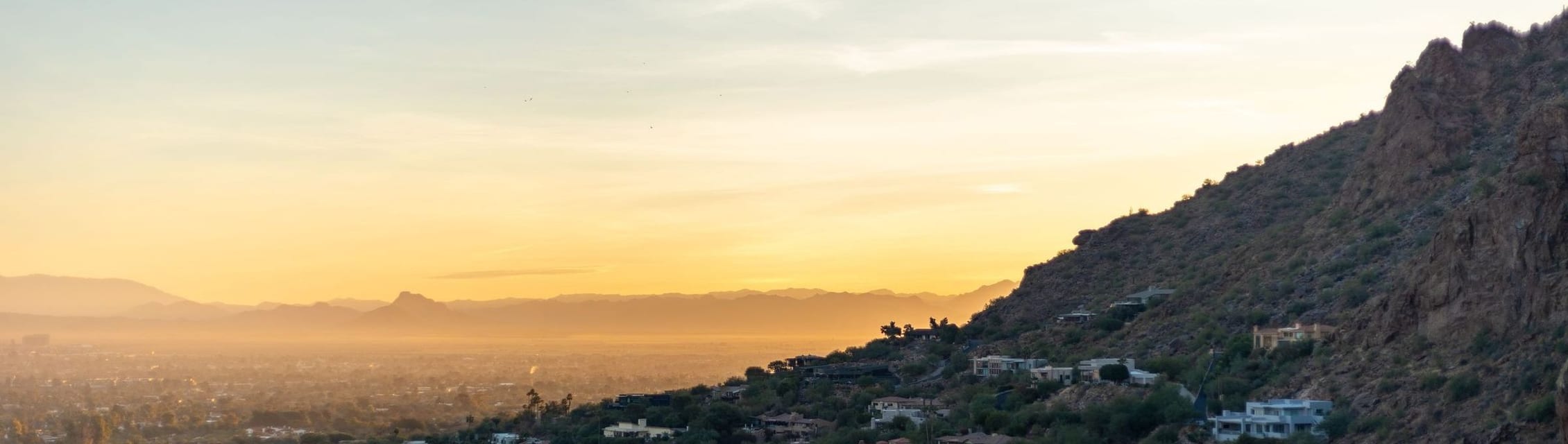 Oshi Health - Phoenix, AZ (Remote) banner