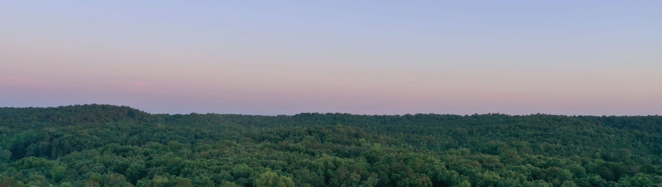 Oshi Health - Little Rock, AR (Remote) banner