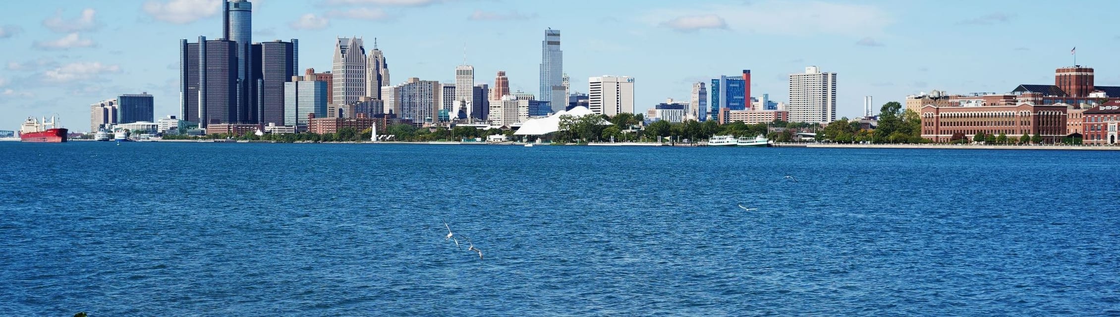 Oshi Health - Detroit, MI (Remote) banner