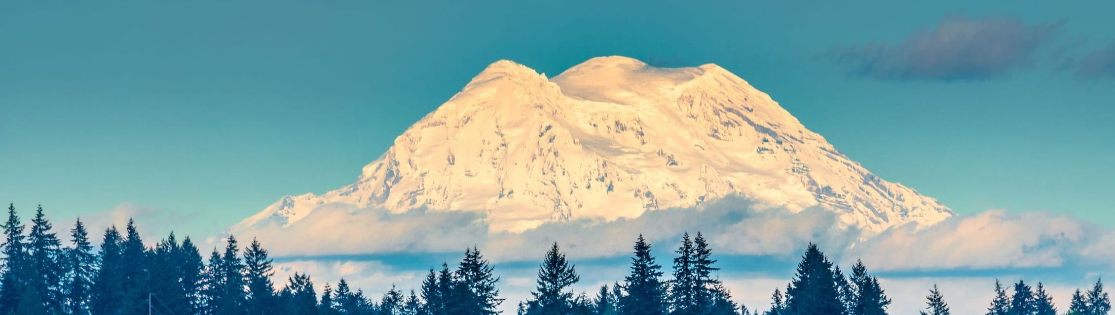 Evergreen Eye Center - Federal Way banner