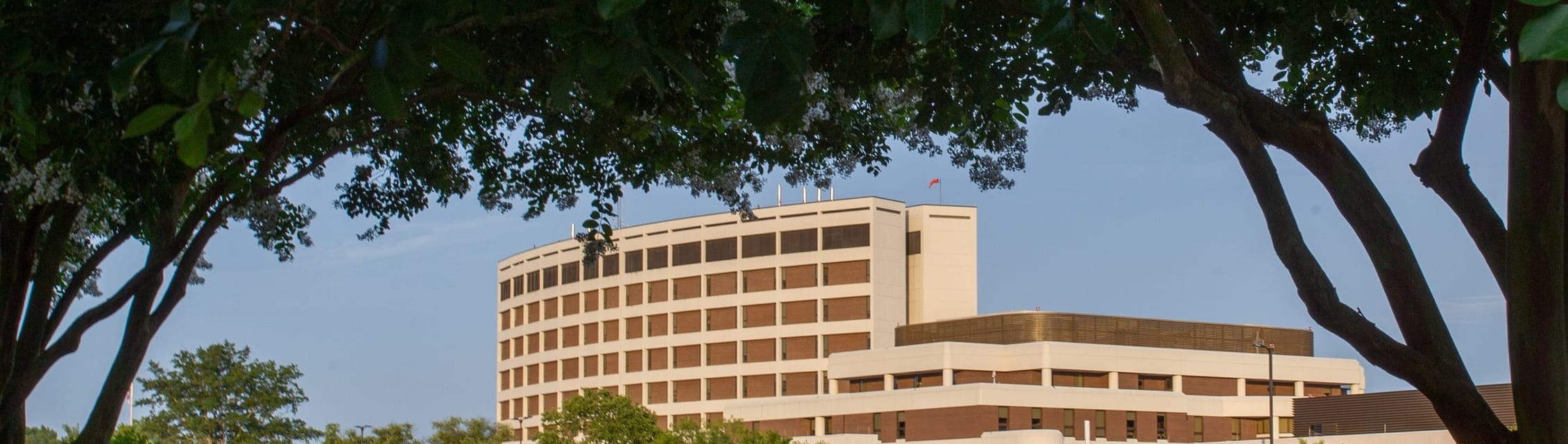 UNC Health Wayne (Goldsboro) banner
