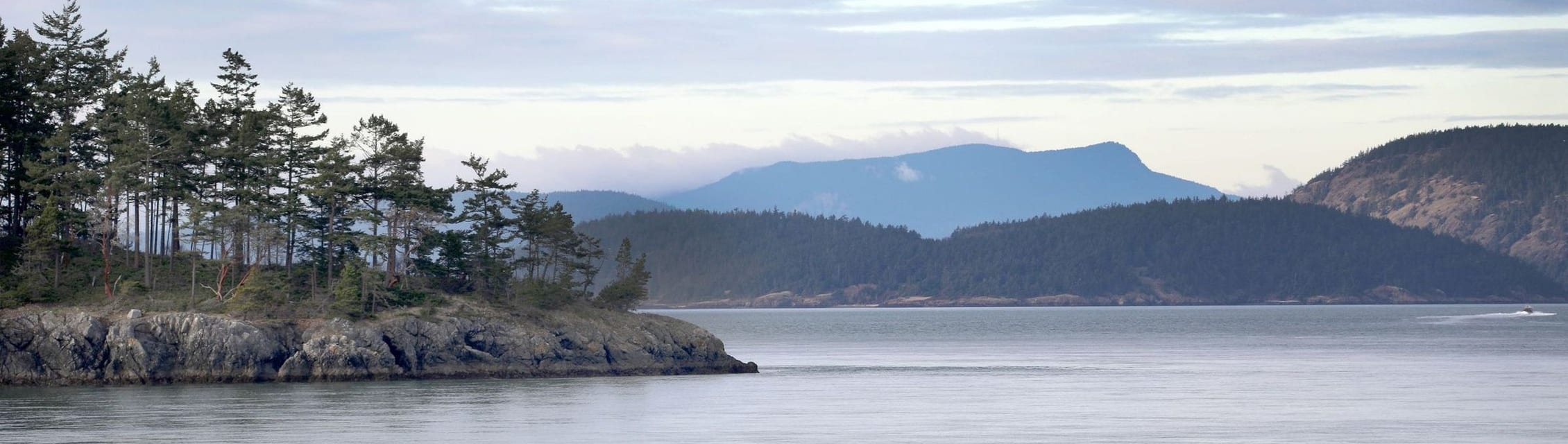 WhidbeyHealth Podiatry (Coupeville) banner