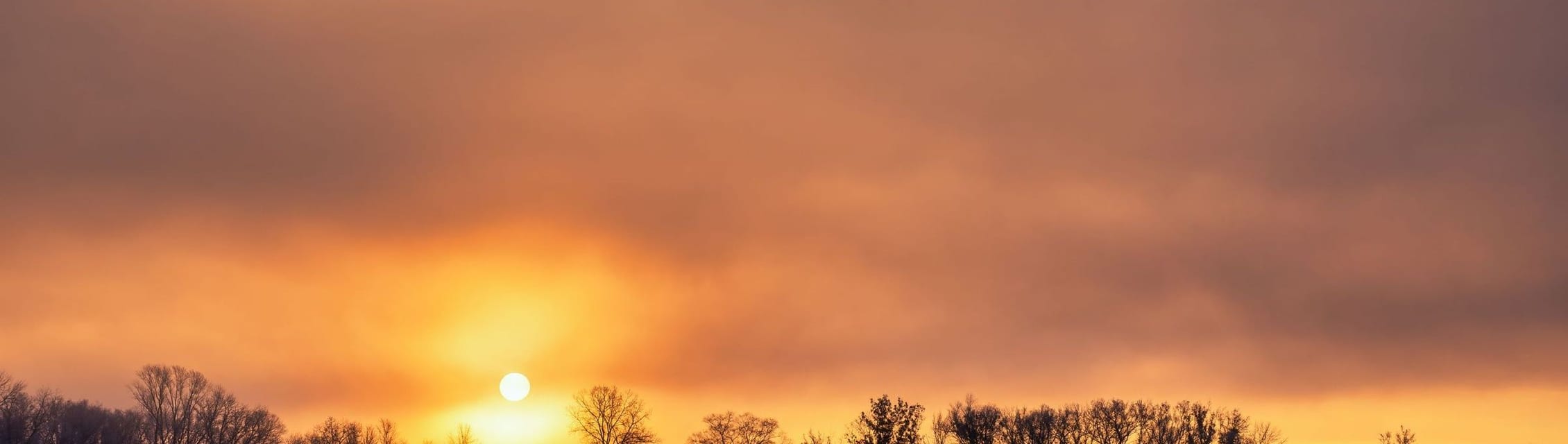 Linden Oaks Outpatient Center (Naperville) banner
