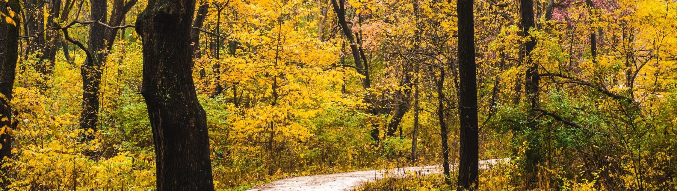 OSF Behavioral Health - Ottawa banner