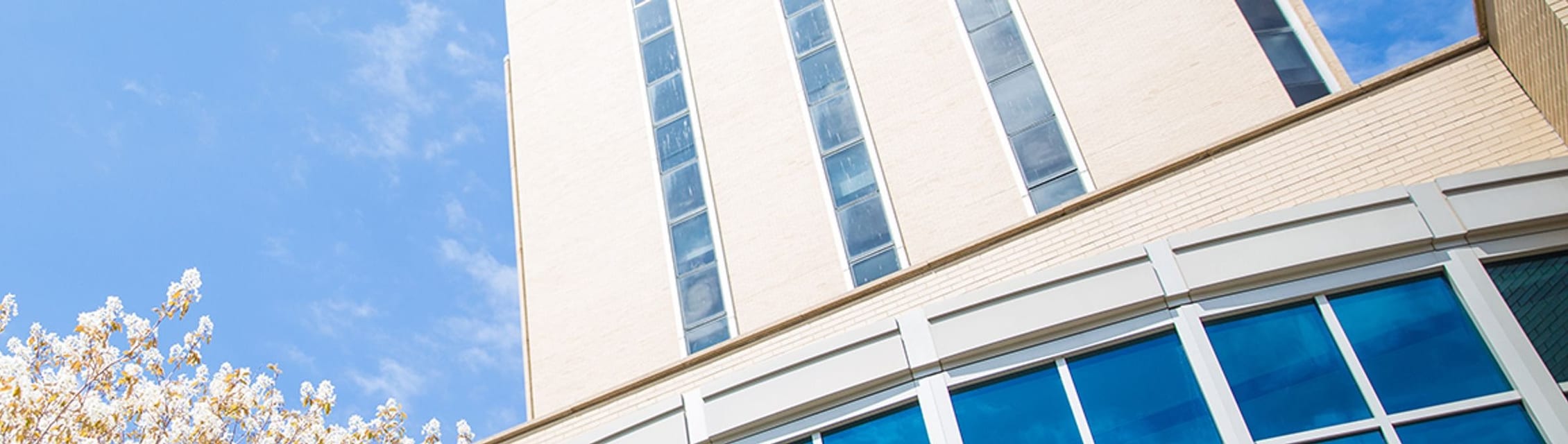 Bridgeport Hospital banner
